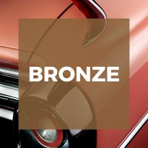 Bronze<br>Mitgliedschaft
